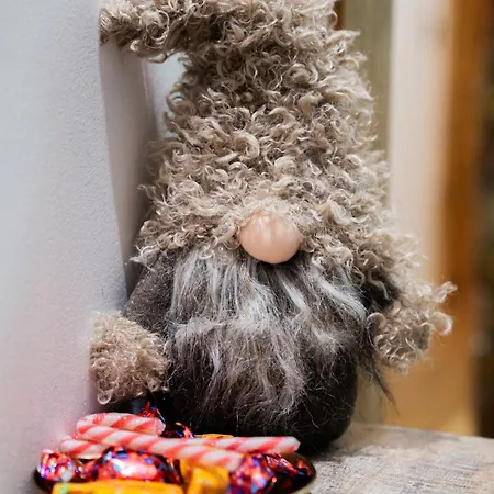 Lejlighed Downtown Rustica *