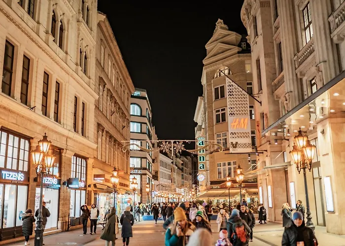 Apartament Downtown Rustica *